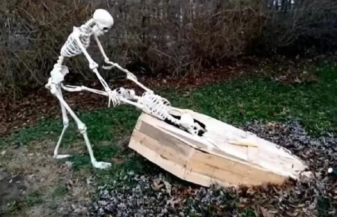 large picture of the cover